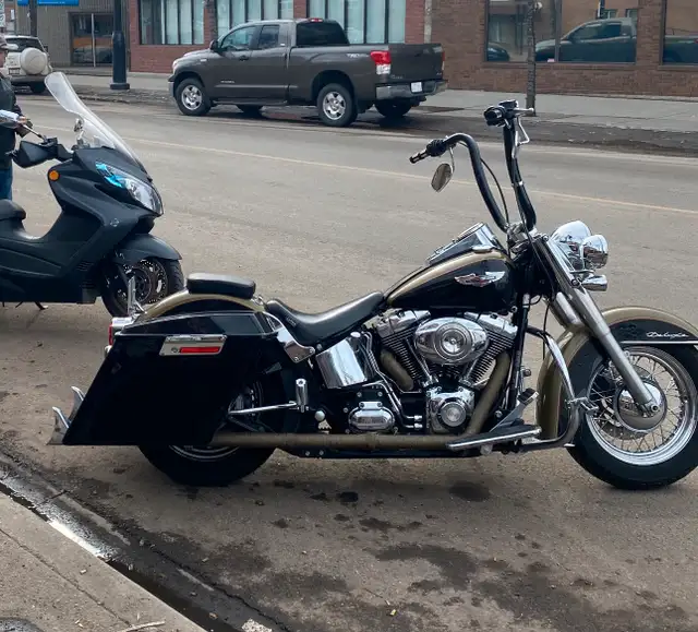 2007 Harley-Davidson Softail Deluxe in Street, Cruisers & Choppers in Edmonton - Image 8