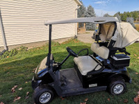 2014 EZGO RXV 48V Electric Golf Cart