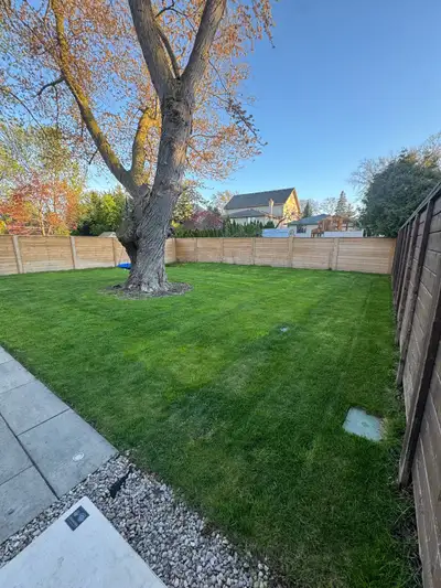 Lawn Mowing & Window Cleaning, View more