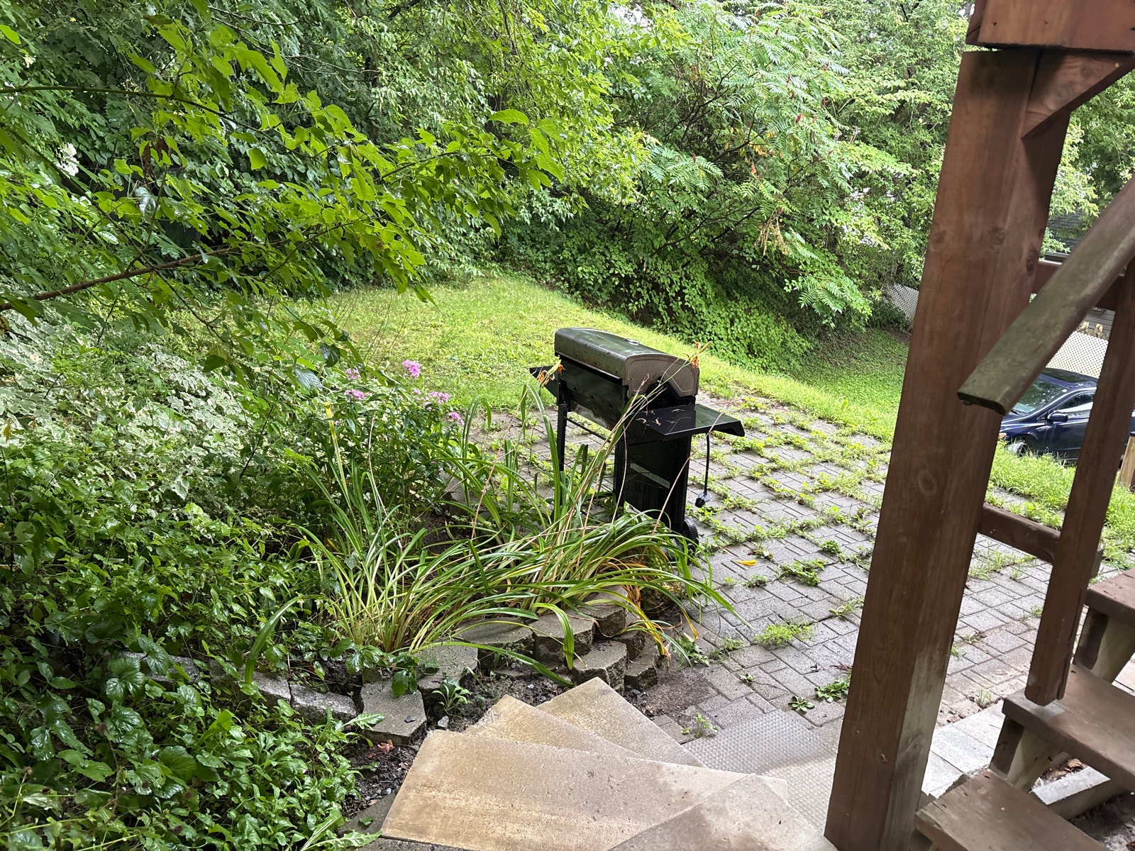 5 1/2 Apartment Sept 1 — photo 2