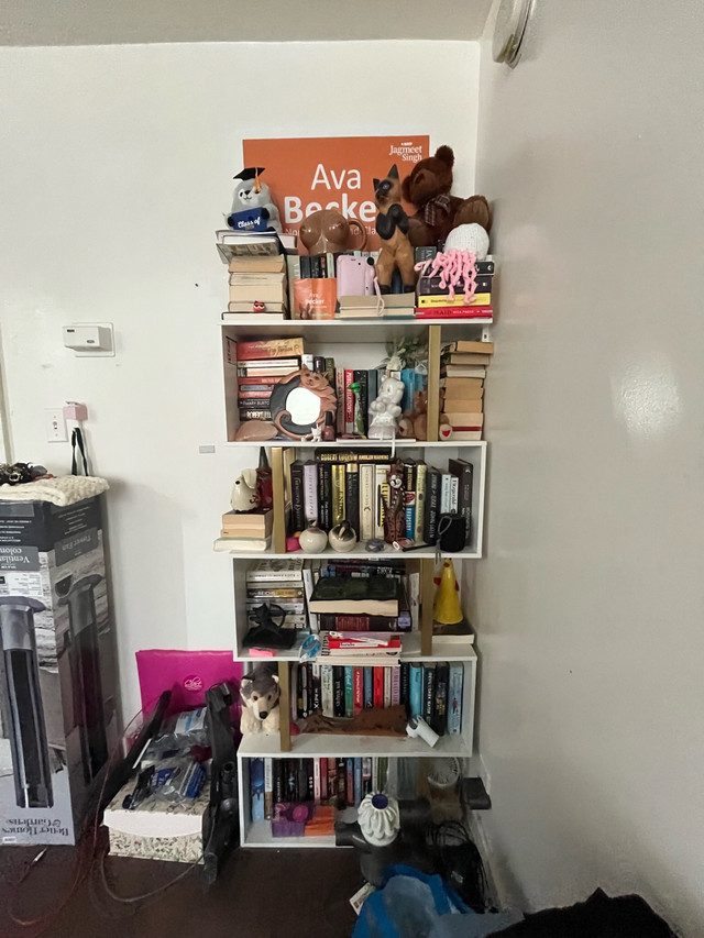 Beautiful bookcase in Bookcases & Shelving Units in Peterborough - Image 2