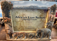 African lion safari photo frame 5X7