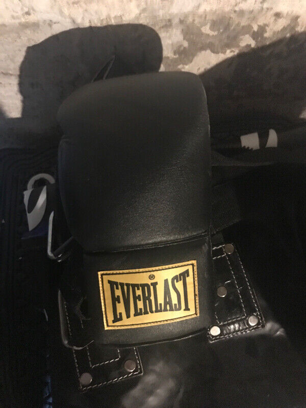 Everlast Leather Boxing Gloves in Hobbies & Crafts in Peterborough