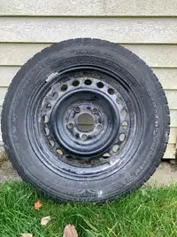Winter tires on steel rims