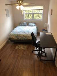 Spacious Room for Rent in Saint John - North End