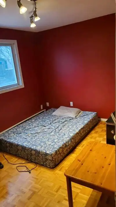shared room for rent