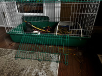 Rabbit, cages, pellets, straw for sale