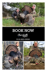 Wild Turkey hunts *Book Today!*