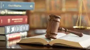 Law School and Higher Education Tutoring - Applications Help