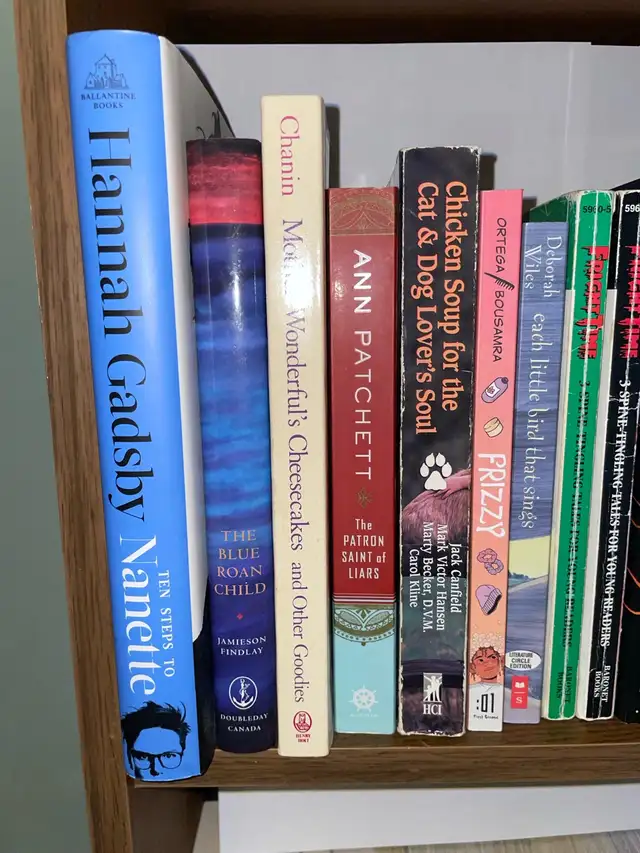 Book lot in Fiction in Ottawa - Image 3