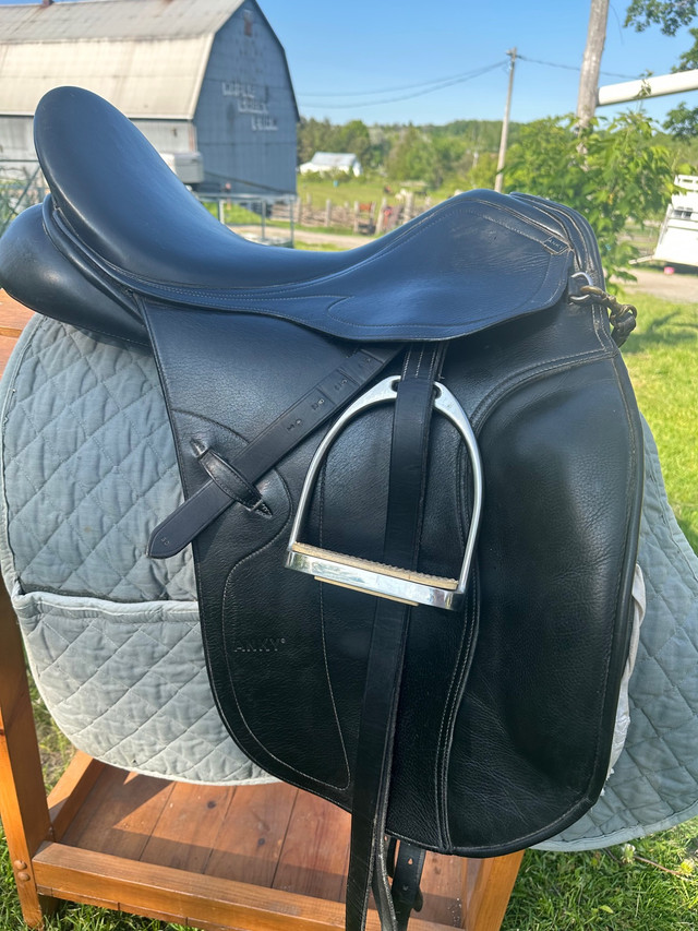Newer ANKY Dressage Saddles in Equestrian & Livestock Accessories in Peterborough