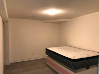 Furnished Basement with 2 bedrooms for rent (able to occupy 4)