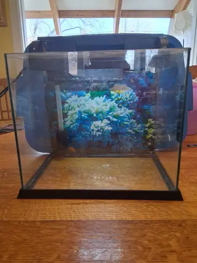 This is a used 5-gallon glass aquarium that comes with a built-in light and filter in the lid, perfe...
