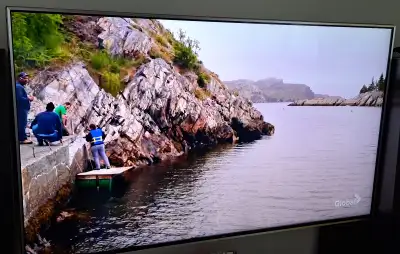 55" LG LED TV $450, View more