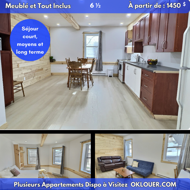 APPARTEMENT MEUBLÉ-TOUT INCLUS 4 CHAMBRES 6 1/2  -  CENTRE VILLE