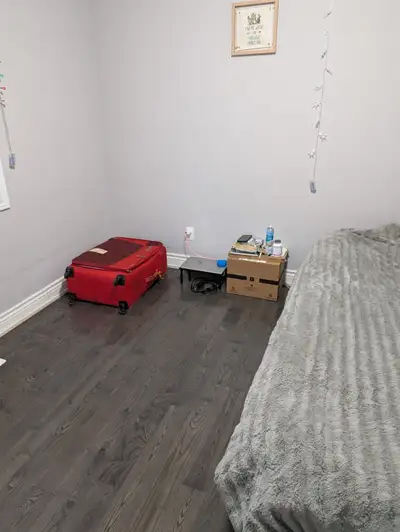 Neat and tidy sharing is room is available from Dec1st, for more info contact me. Room rent for one...