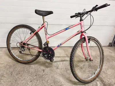 Mountain Bike working cond. - serviced - 26" wheels - VERY CHEAP, View more