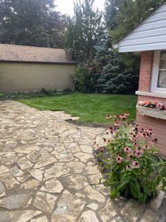 Sod installation  in Lawn, Tree Maintenance & Eavestrough in Kitchener / Waterloo - Image 2