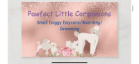 Small Doggy Daycare/Boarding/Grooming