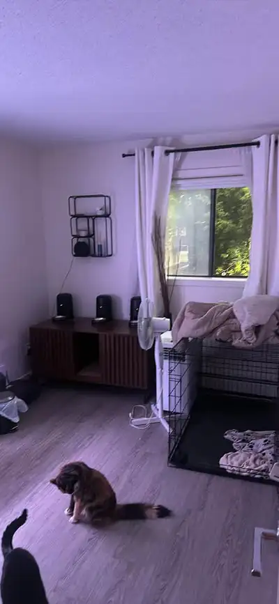Room for Rent – $850/month – $150 Deposit. Renovated 2 Bedroom Apartment Looking for a roommate to s...