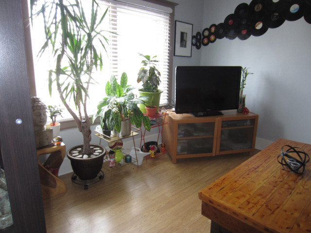 COZY 1 BEDROOM + DEN UNIT WITH LARGE LIVING ROOM CLOSE TO QEW in Long Term Rentals in St. Catharines