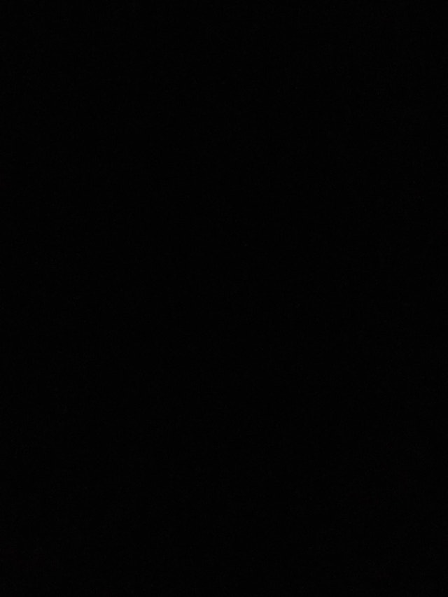 WANTED bachelor 1 bedroom apartment Long Term Rentals Saint John