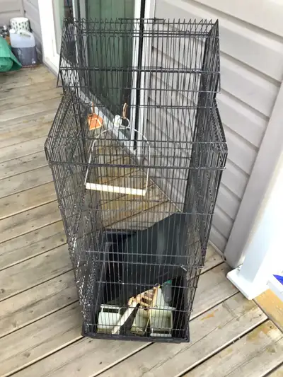 Bird Cage, View more