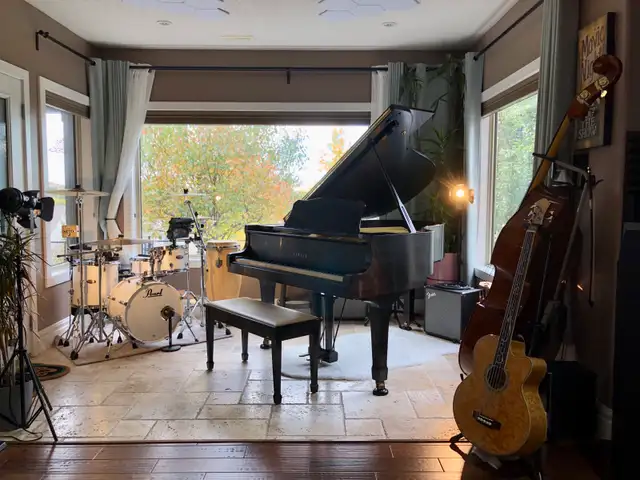 Upright Bassist Needed for a Jazz Band