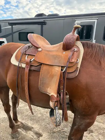 Selle western Maygan , View more