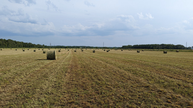 Terrain agricole à vendre, plus belle terre agricole de Luskvill in Land for Sale in Gatineau - Image 2