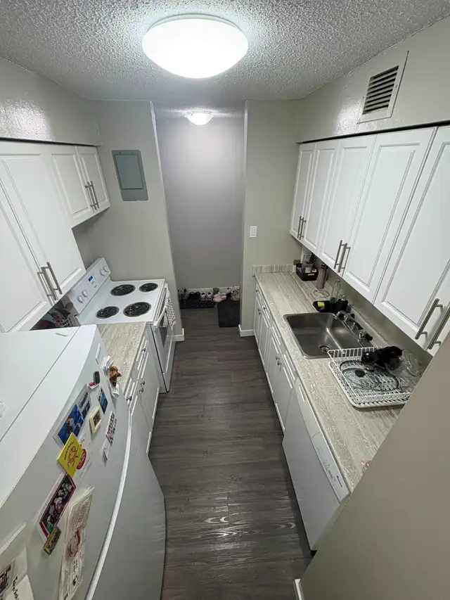 2 Bedroom Apartment - Available for Feb. 1