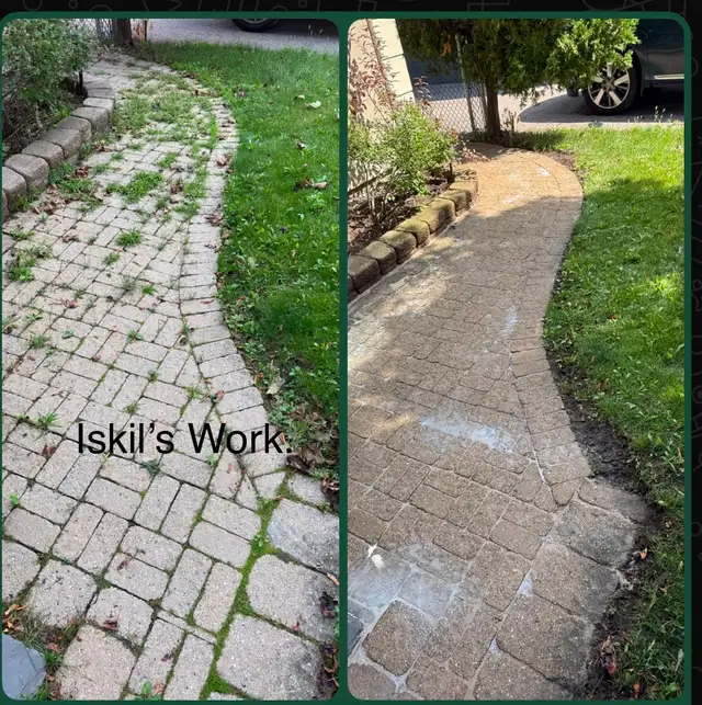 Leaf Raking, Weed removal,  Tree Cut,Mulch, & Tree cut services in Lawn, Tree Maintenance & Eavestrough in City of Toronto - Image 2