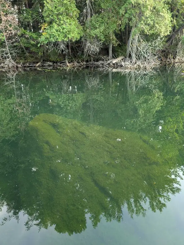 chambre dans une maison privé in Short Term Rentals in Gatineau - Image 6