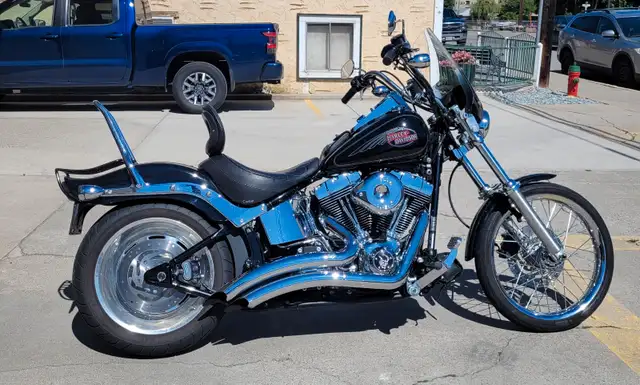 Softail Custom in Street, Cruisers & Choppers in Penticton - Image 2