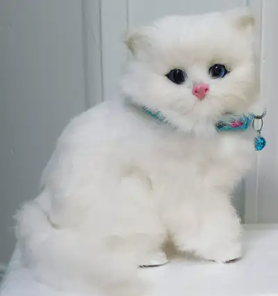 Bonjour, Je vends ce doux toutou chat, très réaliste. Taille : 18 cm. Avec collier. Entièrement neuf...