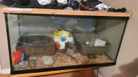 Large snake or reptile aquarium with all accessories for sale