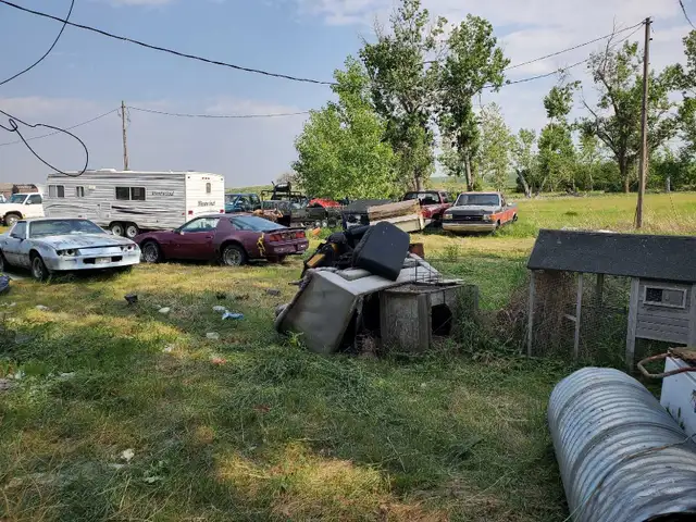 Property Clean ups603669494634926083