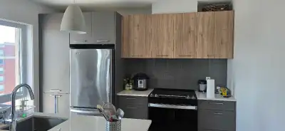 5 month lease  (starting Sept 1) - Sept rent free