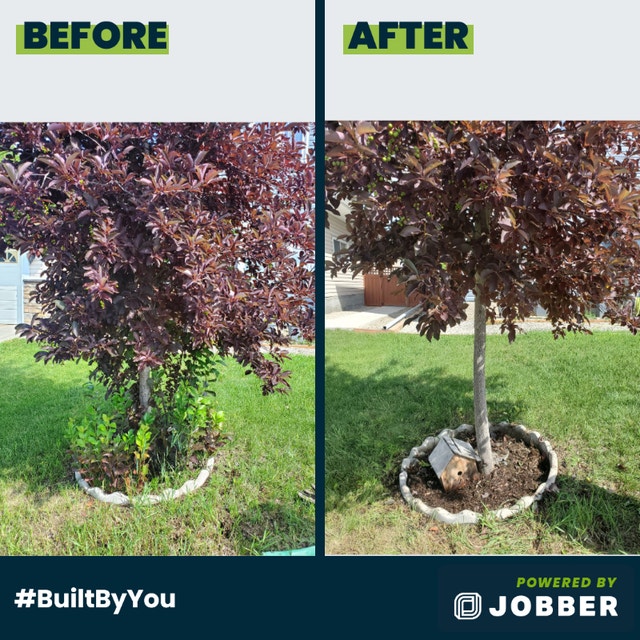 Property Clean ups! Yard, Lawn, Tree and Gardening services. Other Edmonton Kijiji