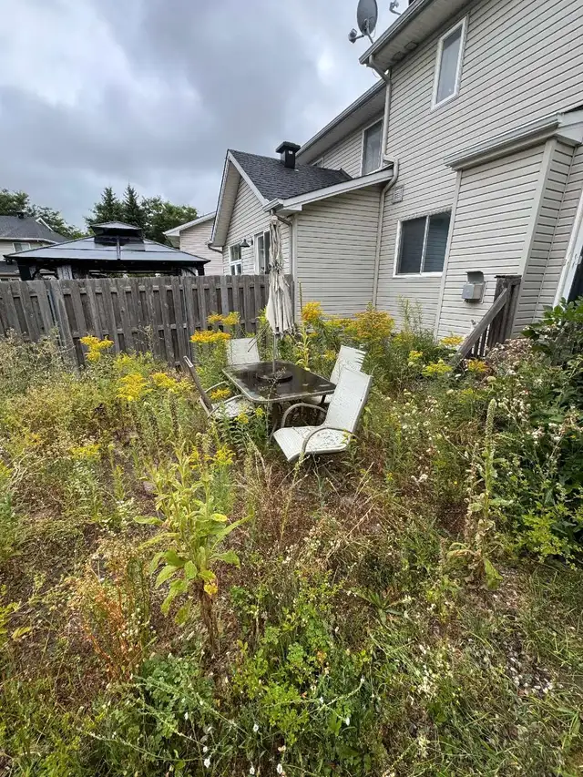 Extreme Weed Removal!63611971897473120
