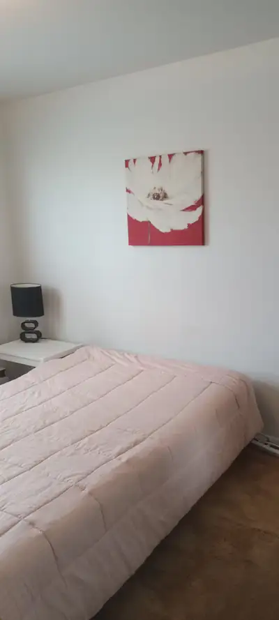 Clean furnished room One person only Female preferred Shared kitchen/bathroom with a female Ideal fo...