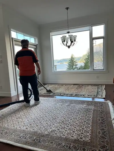 Carpet cleaning Carpet cleaner Duct cleaning Dryer vent, View more