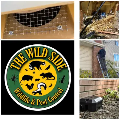 Unwelcome Guests? Call the WildSide! ️ Proudly serving Durham Region & surrounding areas including K...