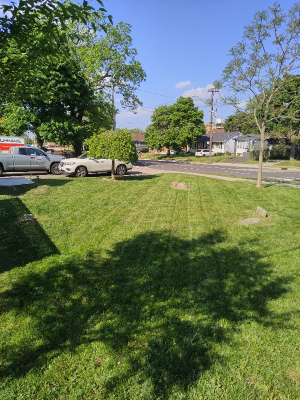 LAWNCARE & LANDSCAPING in Lawn, Tree Maintenance & Eavestrough in Hamilton - Image 4