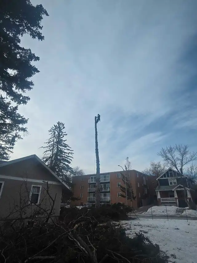 Take It Down Tree Service LTD.62863720526723124