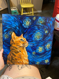 Cat looking at the starry night 