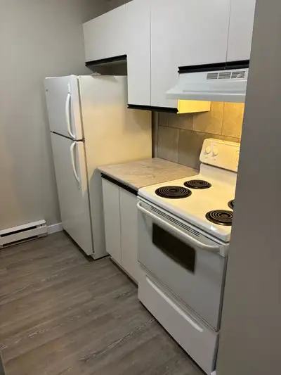 2Bedroom 1Bathroom with many new updates ready to welcome new tenants. Located 140 Park Ave East Cha...