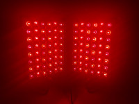 DPL II: Anti-Aging Red Light Therapy Panel