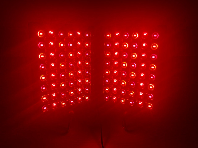 DPL II: Anti-Aging Red Light Therapy Panel in Health & Special Needs in Dawson Creek