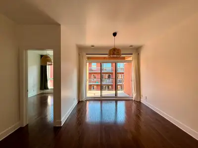 Magnifique 3 1/2 à côté du parc Laurier (Plateau/Petit Laurier)
